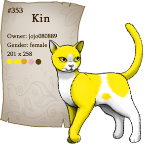 Kin